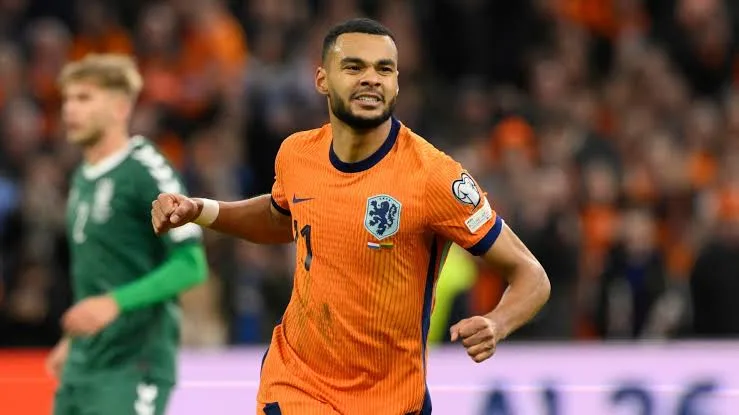 Pays-Bas vs Algérie - Coupe Du Monde 2026 Actualites Football - PronoScout DRK2
